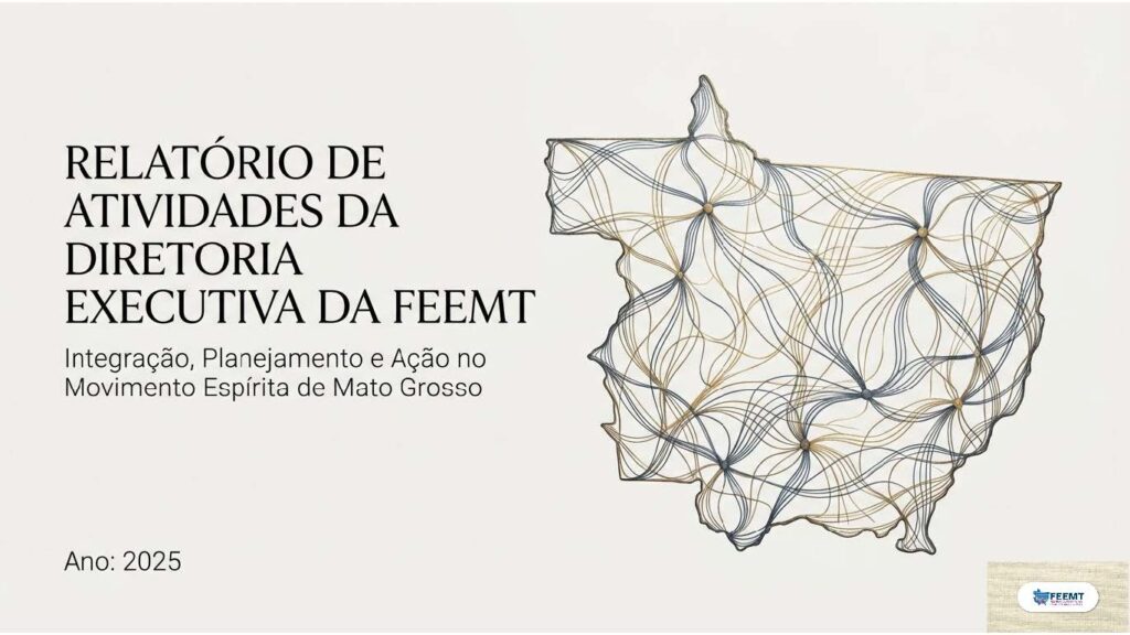 Relatório de Atividades da Diretoria Executiva da Feemt – 2025